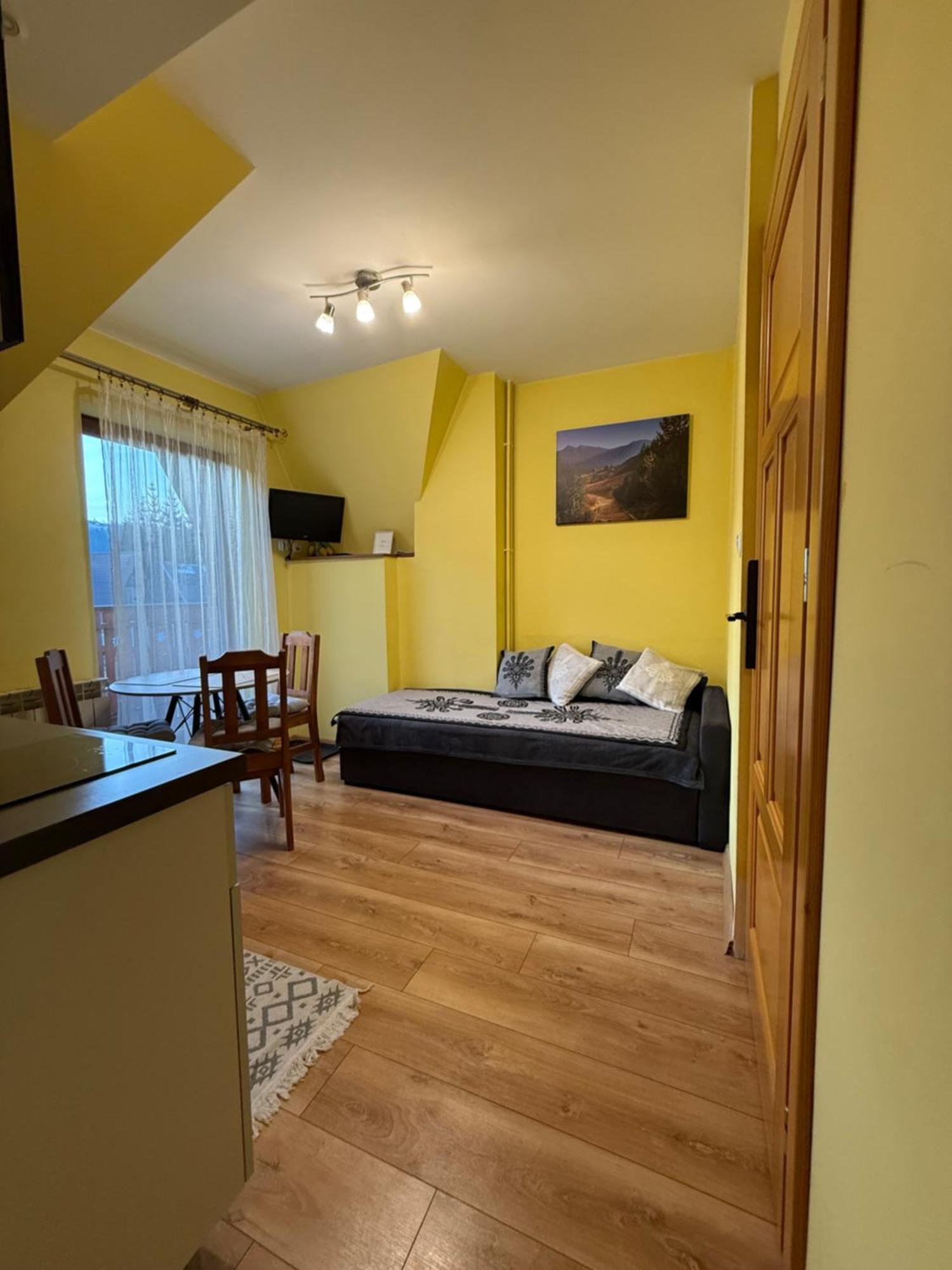 Apartamenty Nad Potokiem Aneta Burliga Zakopane Kültér fotó